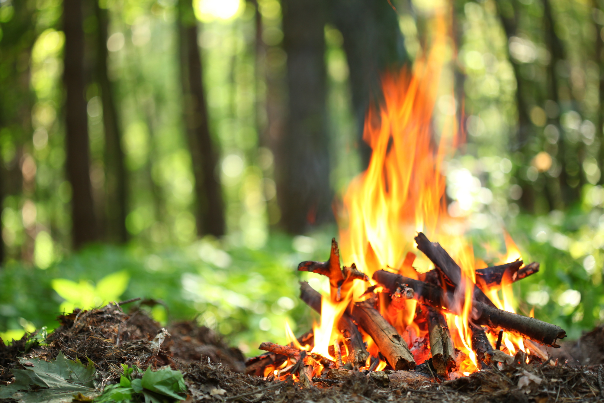 Burn Injuries - Bonfire in the forest.